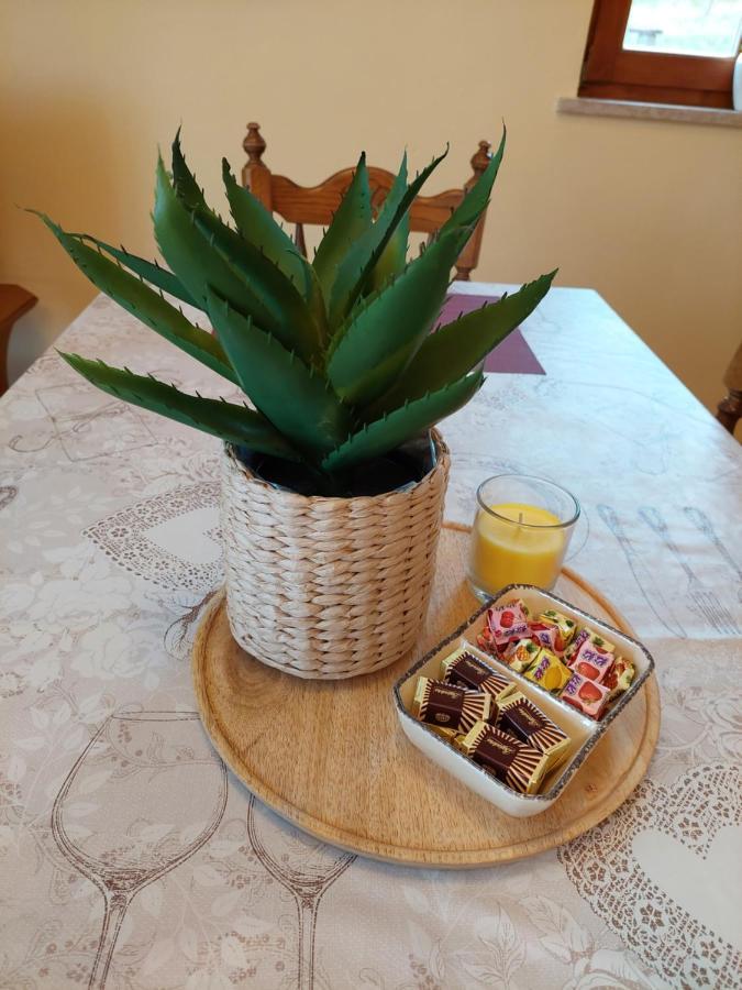 Holiday Home Cancarevic Ravna Gora Eksteriør bilde