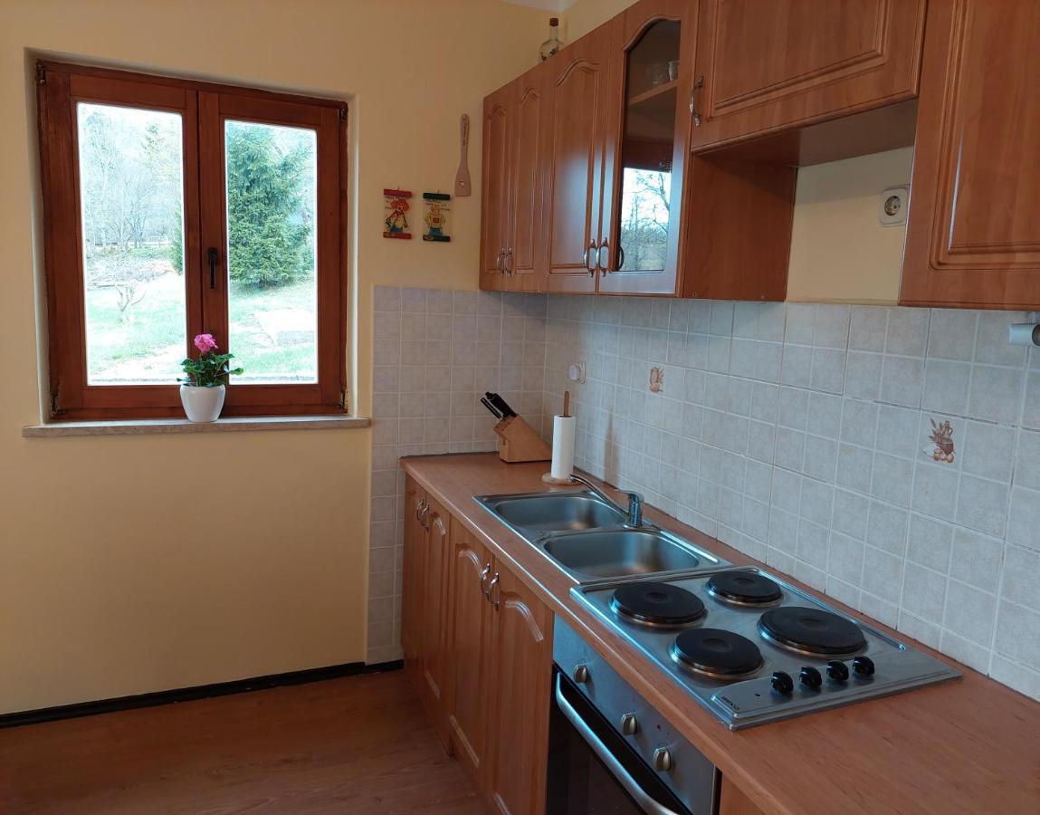 Holiday Home Cancarevic Ravna Gora Eksteriør bilde