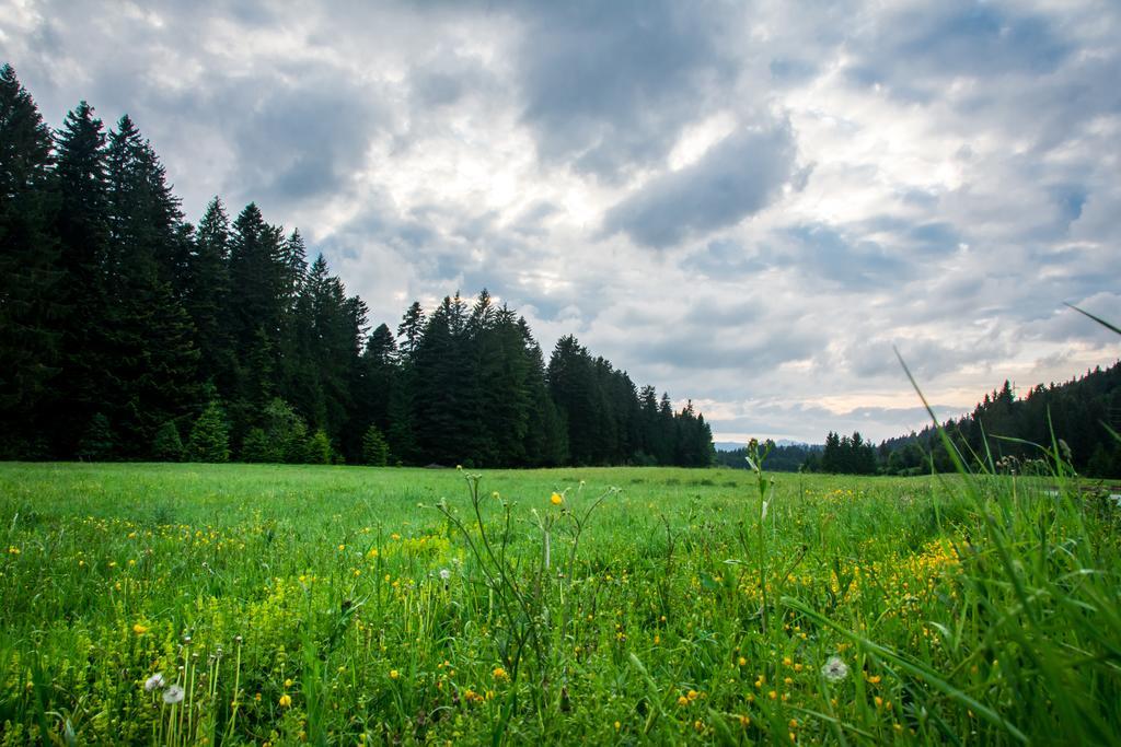 Holiday Home Cancarevic Ravna Gora Rom bilde